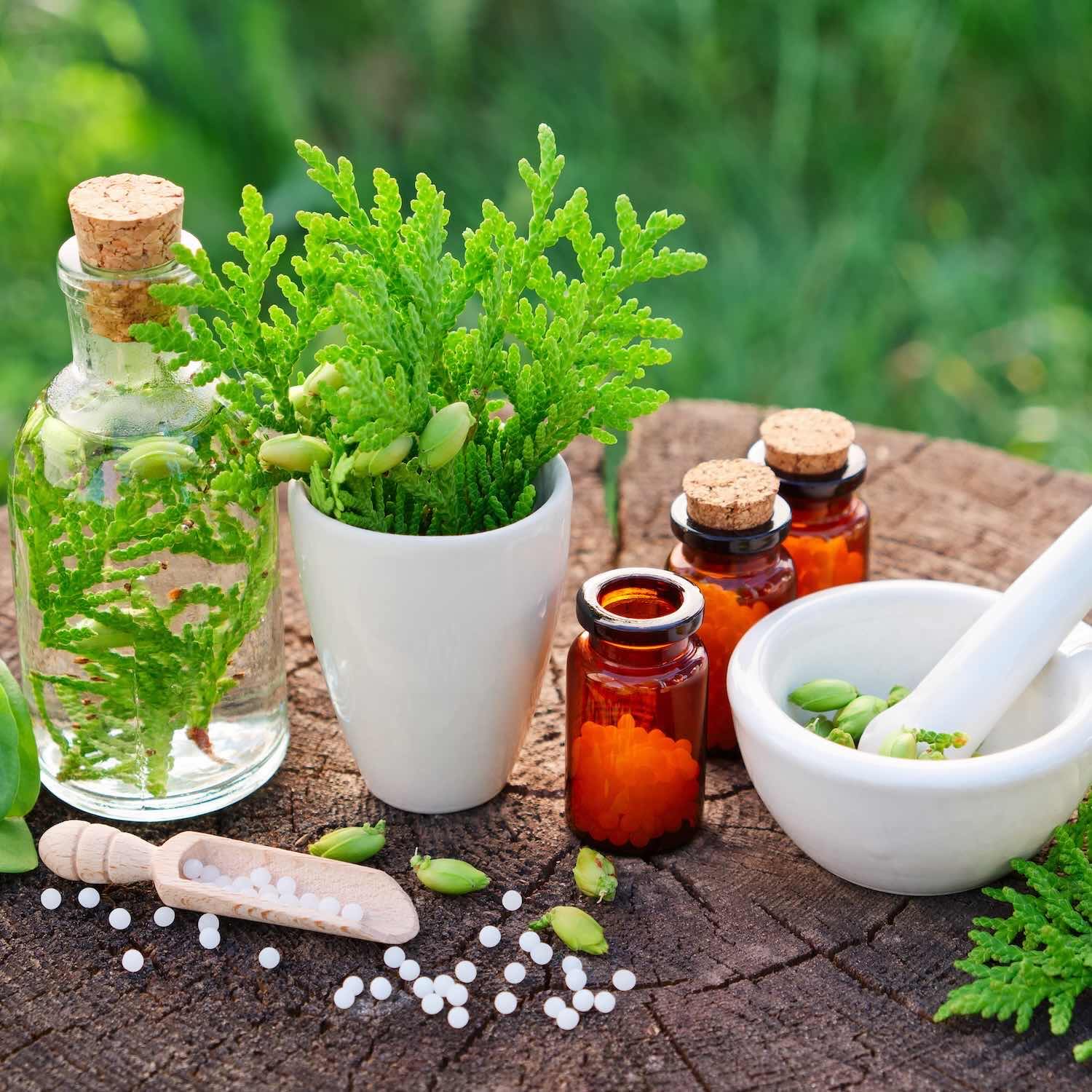 Homéopathie; Roanne, Riorges, Mably, Le Coteau, Villerest, Perreux, Renaison, La Grande Pharmacie des Trois Grâces
